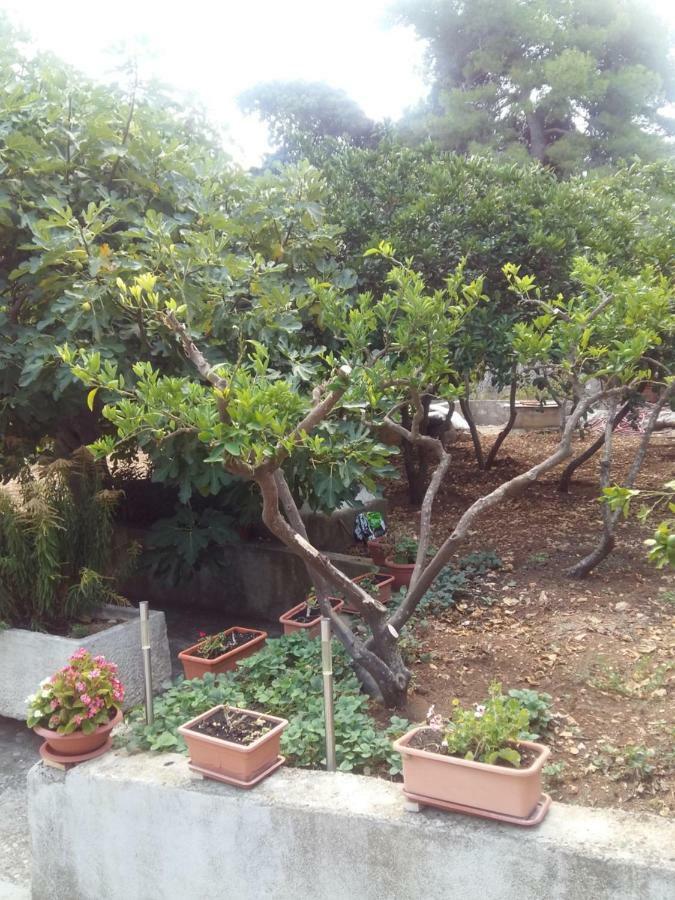 Ferienwohnung Manda Ljubetic Sutivan Exterior foto