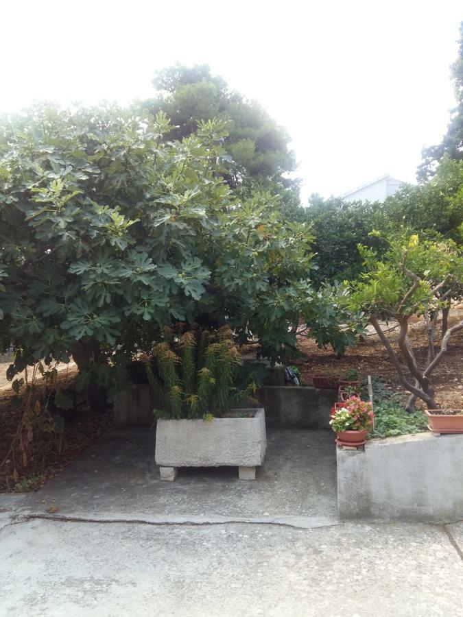 Ferienwohnung Manda Ljubetic Sutivan Exterior foto