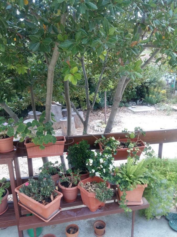 Ferienwohnung Manda Ljubetic Sutivan Exterior foto